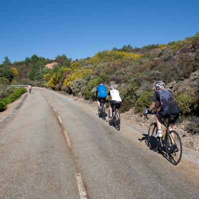 Customized Bike Tours in Spain